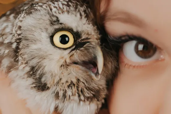 Tusk Cazino Cazinou Suport